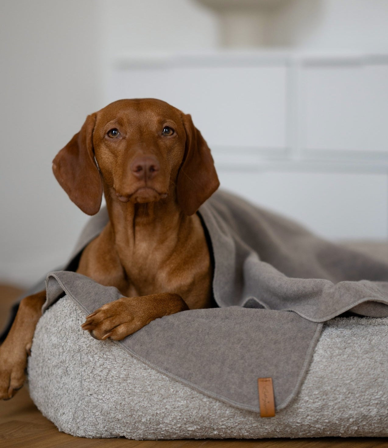 Fleecedecke Beige – Lieblingspfote