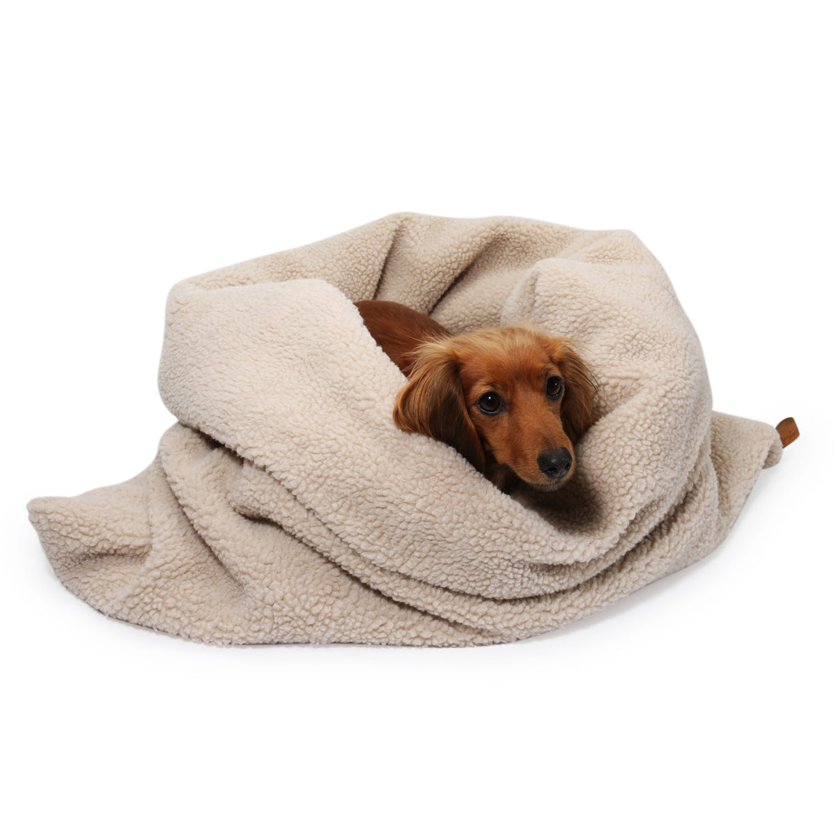 schlafsack für hunde DAS ORIGINAL Kuschelschlafsack Teddy Beige – Lieblingspfote